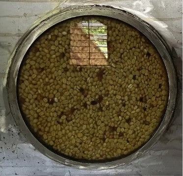 Finca La Luisa - Peach Fermentation